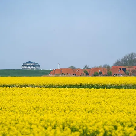 Apartment Lilli Marleen 9-3-6 Dg *