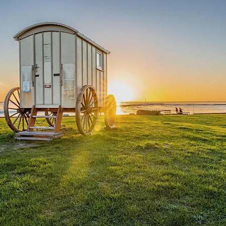 Lilli Marleen 9-3-6 Dg